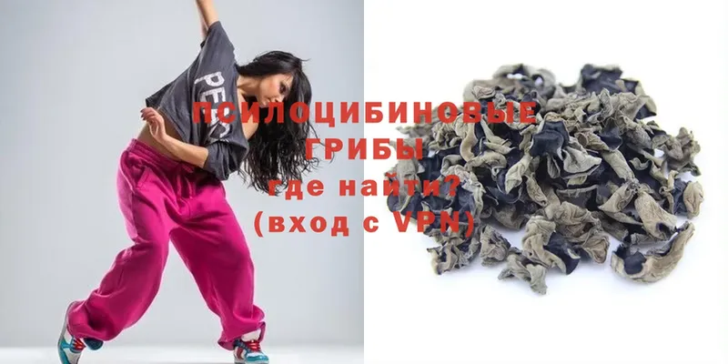 купить  сайты  Бокситогорск  shop формула  Галлюциногенные грибы Psilocybe 